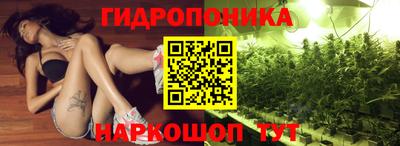 гидра Волжск