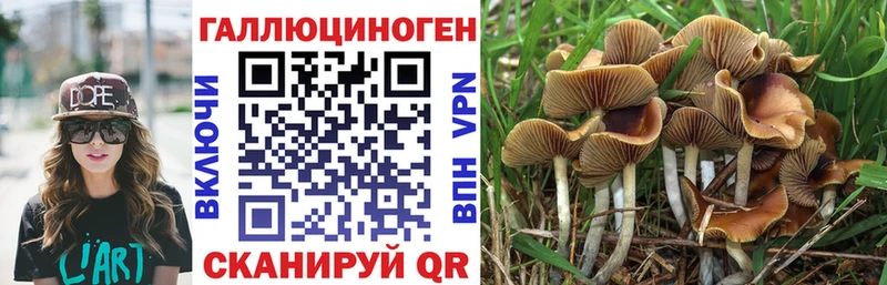 Галлюциногенные грибы Psilocybine cubensis  Кирово-Чепецк 