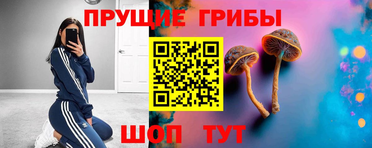Псилоцибиновые грибы мухоморы Кирово-Чепецк