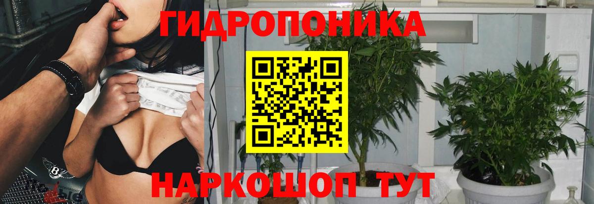 Бошки марихуана Bruce Banner  Канабис AK-47  Бошки Шишки гибрид  Кирово-Чепецк 